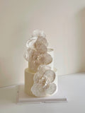 Pearl & Shell Glow Double layer