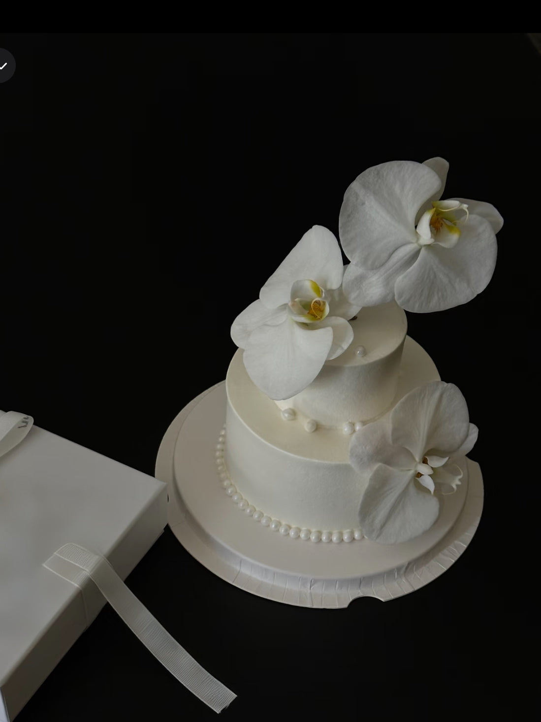 Wabi Orchid Double Tier Cake